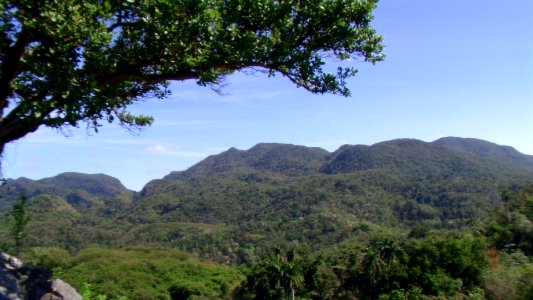 CUBA. ESCAMBRAY (17)