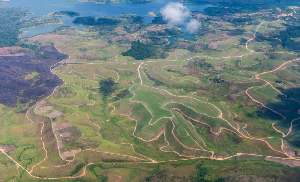 Cultivated land of Recife, Brazil