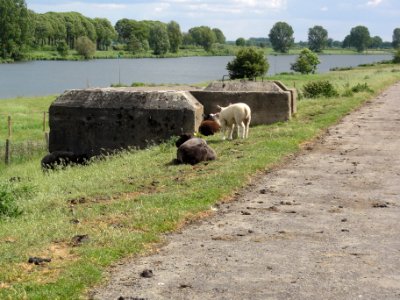 Cuijk Rijksmonument 420214 dozijn kazematten, nr 110 S