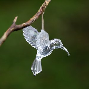 Crystal Hummingbird In The Rain (199692491)