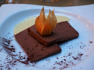 Food gourmet nutrition
