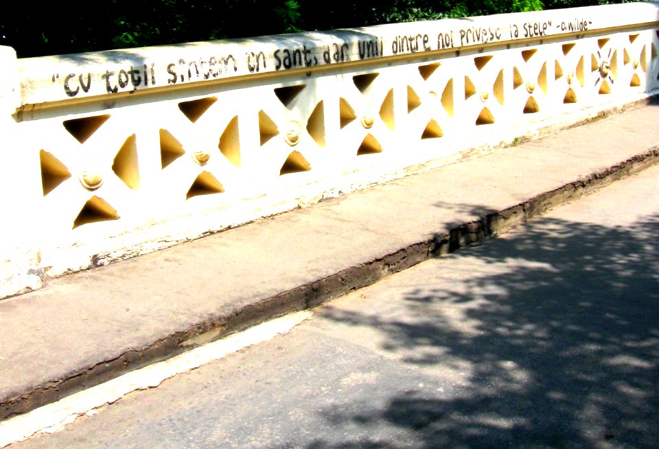 Cu toţii sîntem în şanţ, dar unii dintre noi privesc la stele