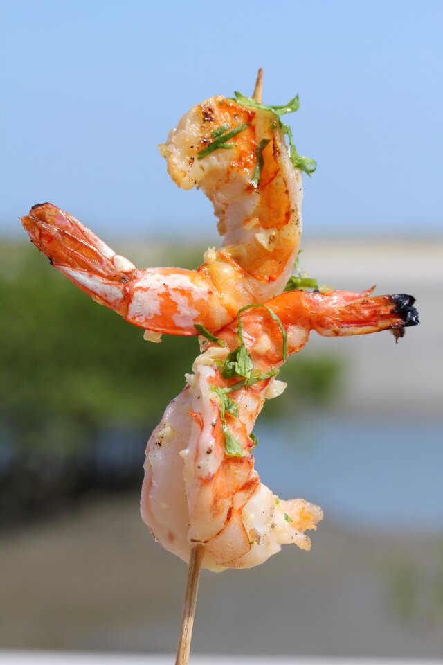 Macro shrimp tasty