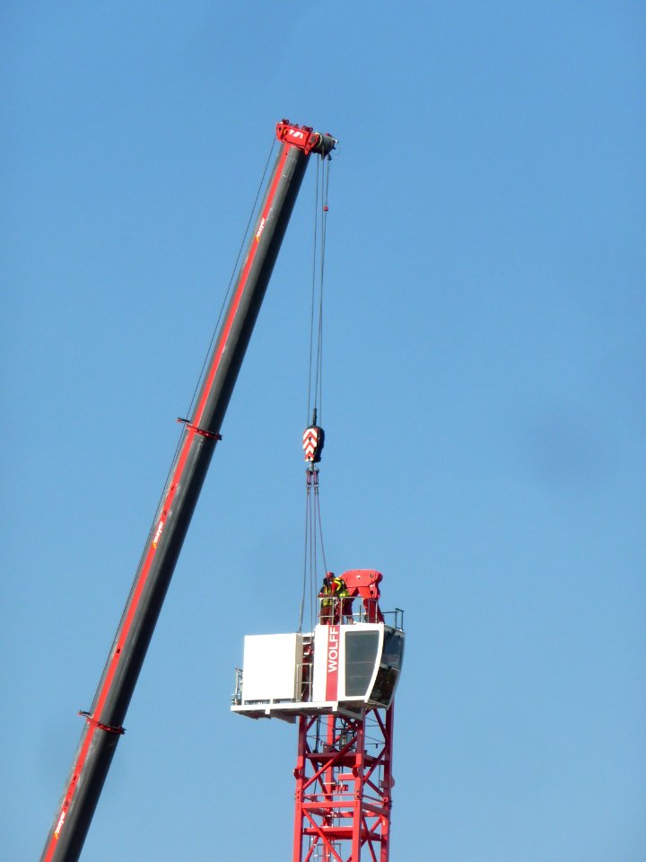 Cranes in Ludwigshafen am Rhein 02