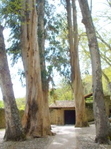 Cuacos de Yuste - Monasterio de San Jerónimo de Yuste 1