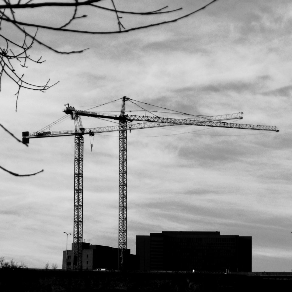 Cranes, Bluff, Pittsburgh, 2020-02-03, 01, bw
