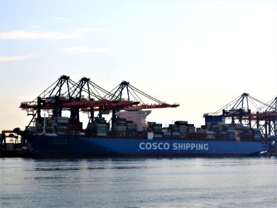 CSCL Star (ship, 2011) IMO 9466867, Port of Rotterdam photo