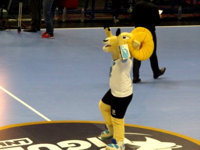 Créteil - Dunkerque - LNH - 30 mars 2017 - 04