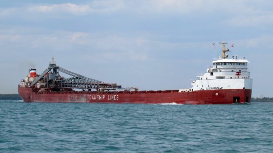 CSL Tadoussac in Detroit River (May 2021)