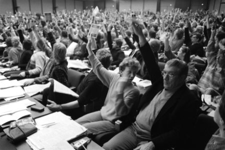 CPN-congres deel II in Amsterdam 18, 19 Fre Meis met zijn afdeling tijdens stem, Bestanddeelnr 932-8670