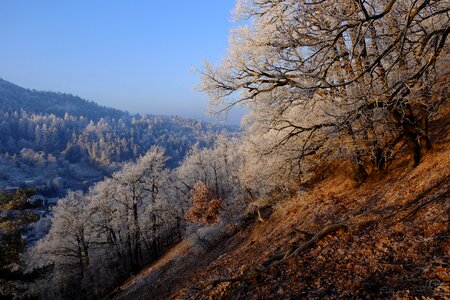Landscape morning winter