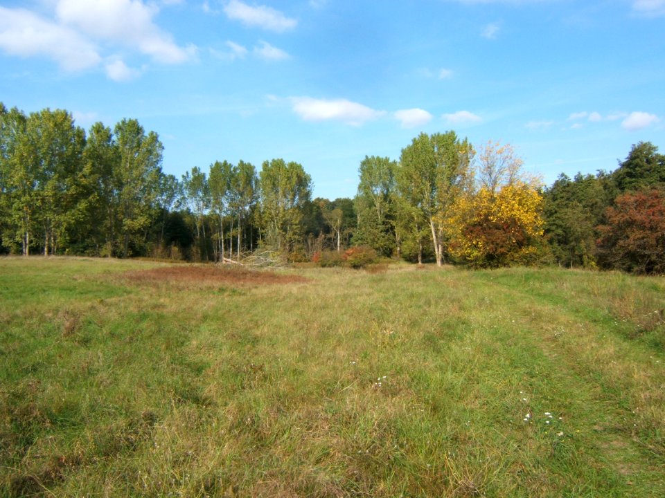 Csombárdi rét 1