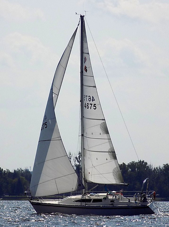 CS 30 sailboat Kelsea 3924