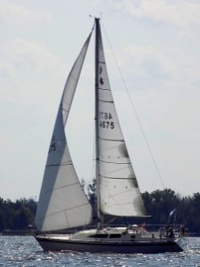 CS 30 sailboat Kelsea 3924