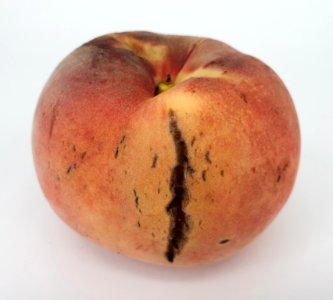 Cracked nectarine 2017 A