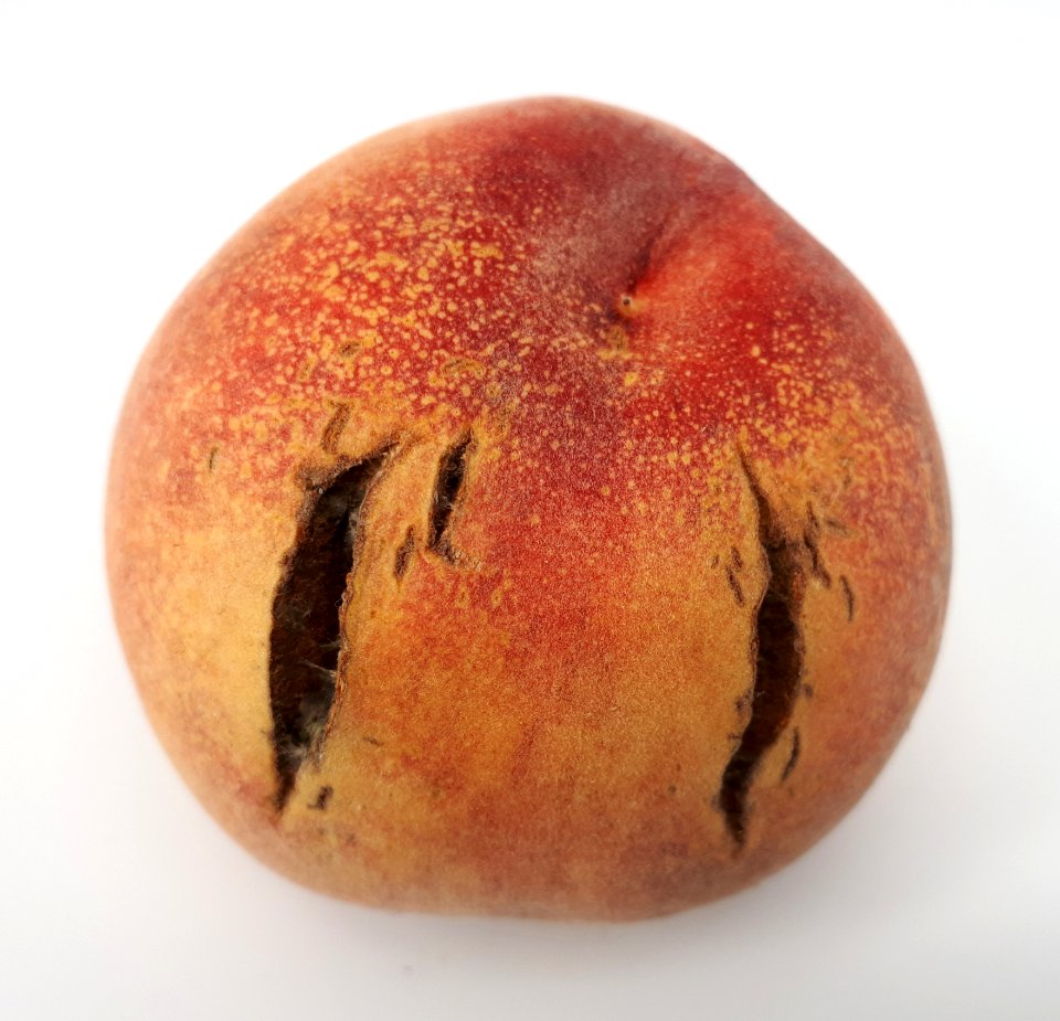 Cracked nectarine 2017 C
