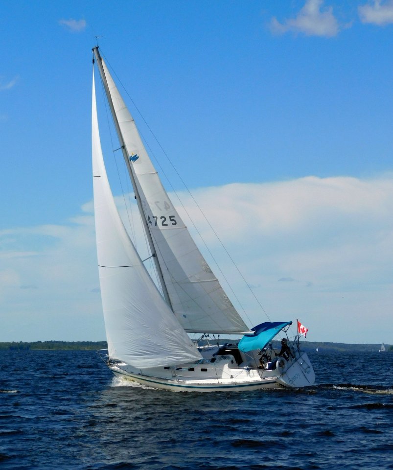 CS 30 sailboat Savoy 2599