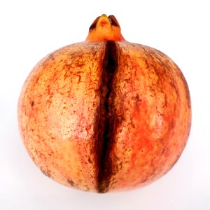 Cracked pomegranate 2017 C1