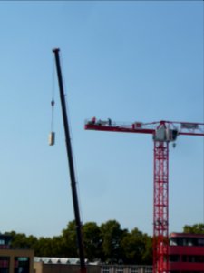 Cranes in Ludwigshafen am Rhein 09