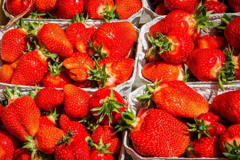 Fruits vitamins berry