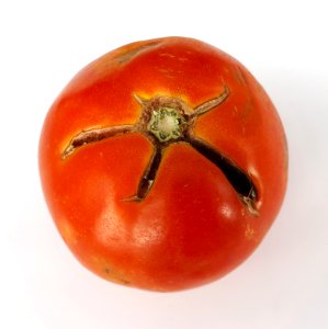 Cracked tomato 2017 D