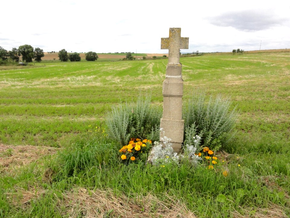 Courbesseaux (M-et-M) paysage avec croix de chemin