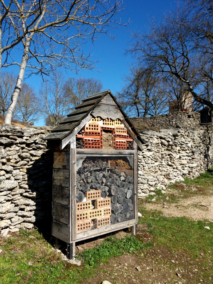 Crémieu - Ancien prieuré Saint-Hippolyte - Hôtel à insectes