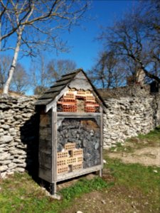 Crémieu - Ancien prieuré Saint-Hippolyte - Hôtel à insectes
