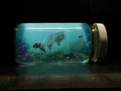 Surealismo jar aquarium
