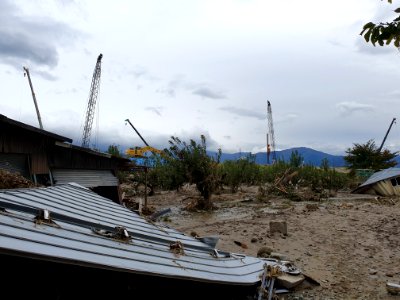 Cranes rebuilding broken river bank