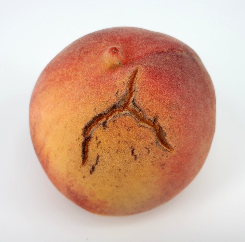 Cracked nectarine 2017 B