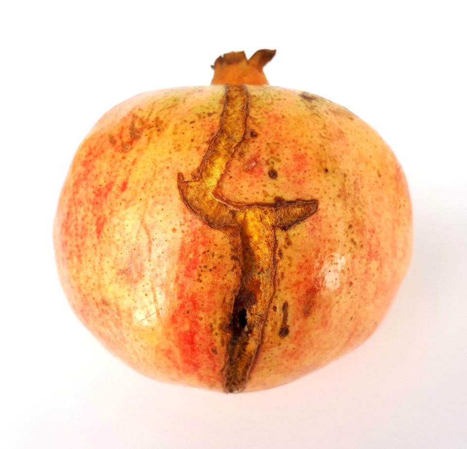 Cracked pomegranate 2017 B1