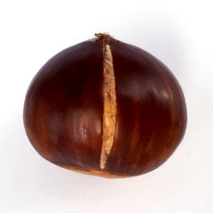 Cracked chestnut 2017 A