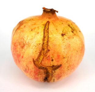 Cracked pomegranate 2017 B2