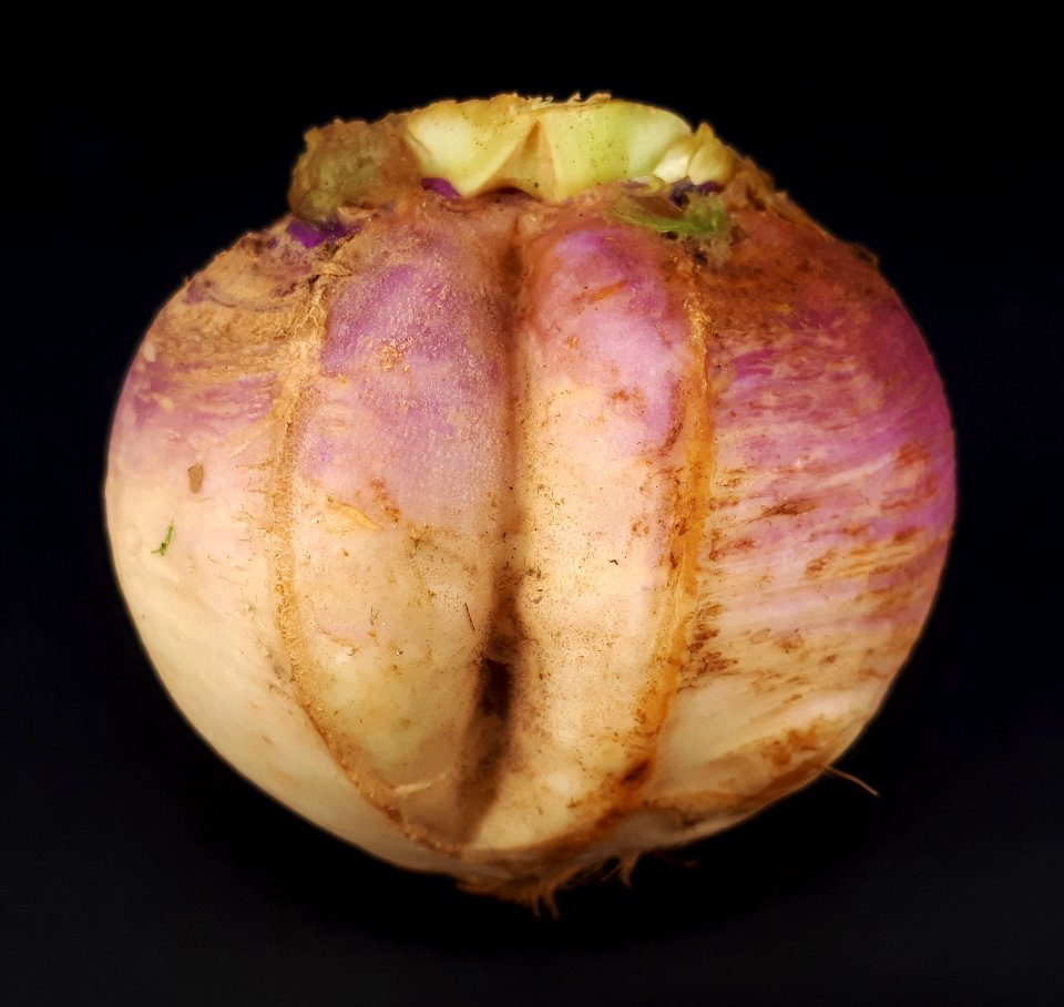 Cracked turnip 2017 A1