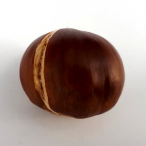 Cracked chestnut 2017 B
