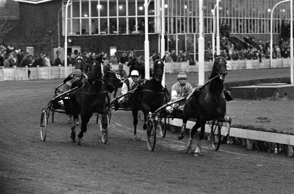 Coursen op Hilversum, op kop gaat Bahamontes, links de winnaar Donderdag gereden, Bestanddeelnr 918-6279
