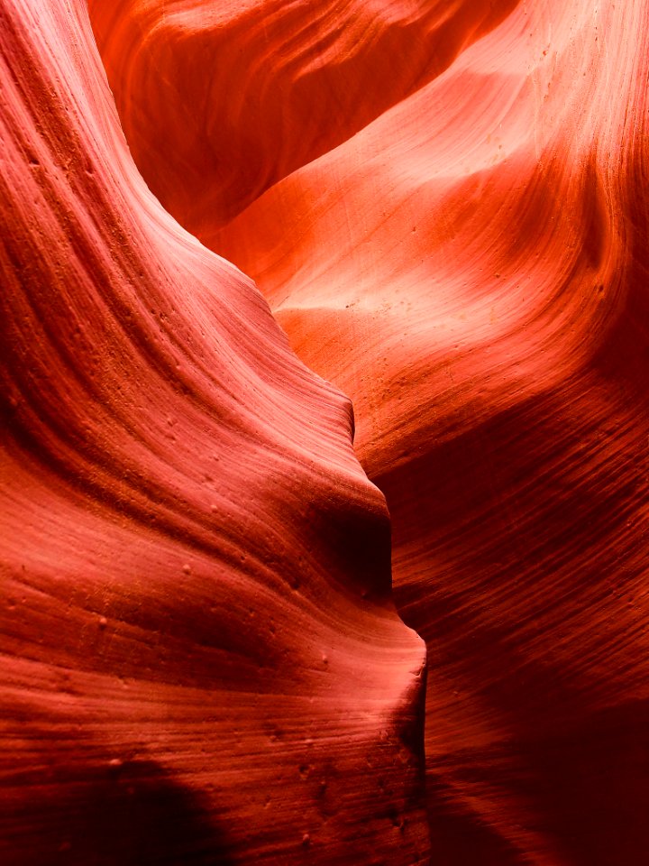 Creamy Rocks Lower Antelope Canyon (177094285)