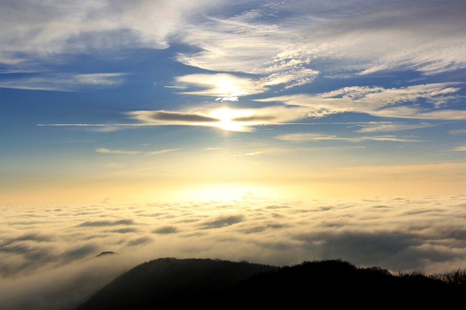 Fog mystical mood