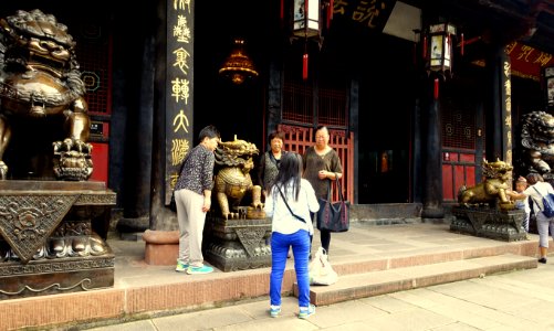Creatures - Wenshu Monastery - Chengdu, China - DSC05242