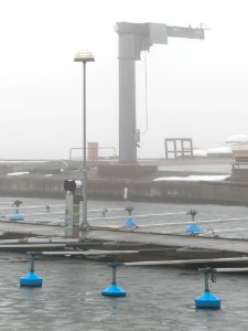 Crane in fog and ice at Rixö boat club