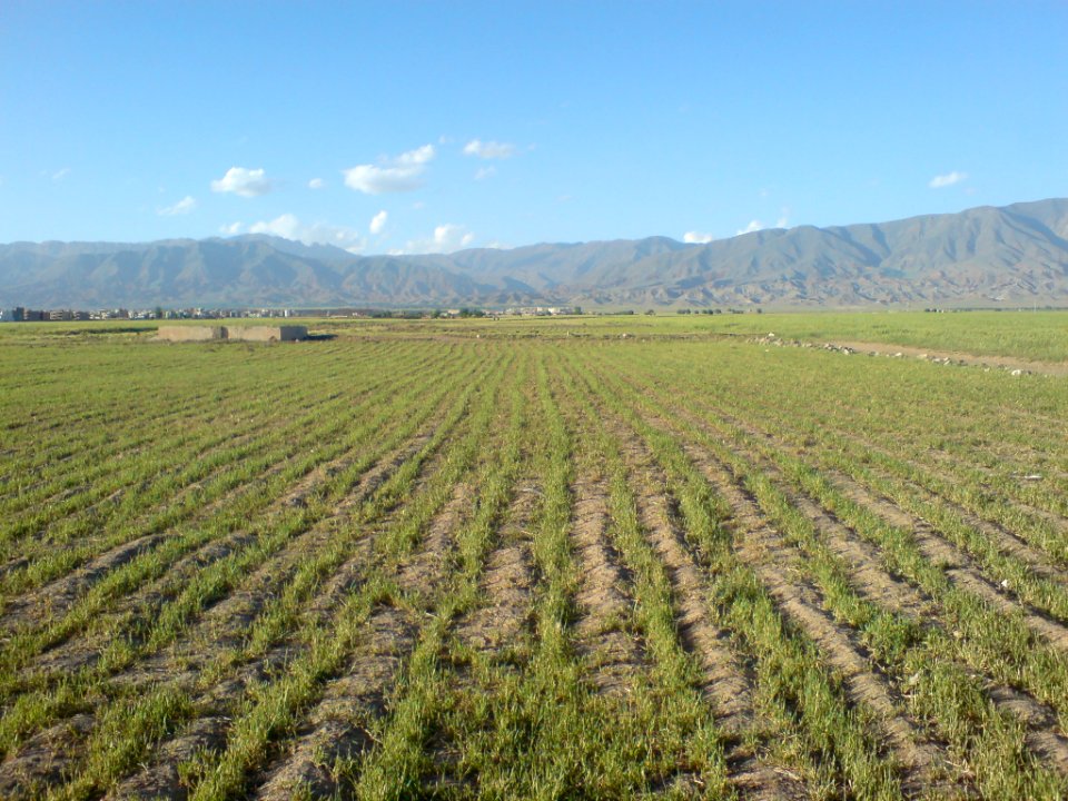 Countryside North Nishapur-near Hakim Hospital (2)