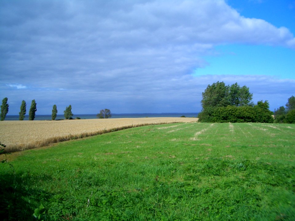 Countryside with dark clouds