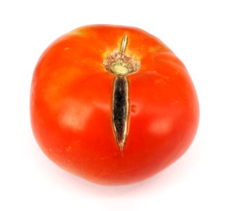 Cracked tomato 2017 B1