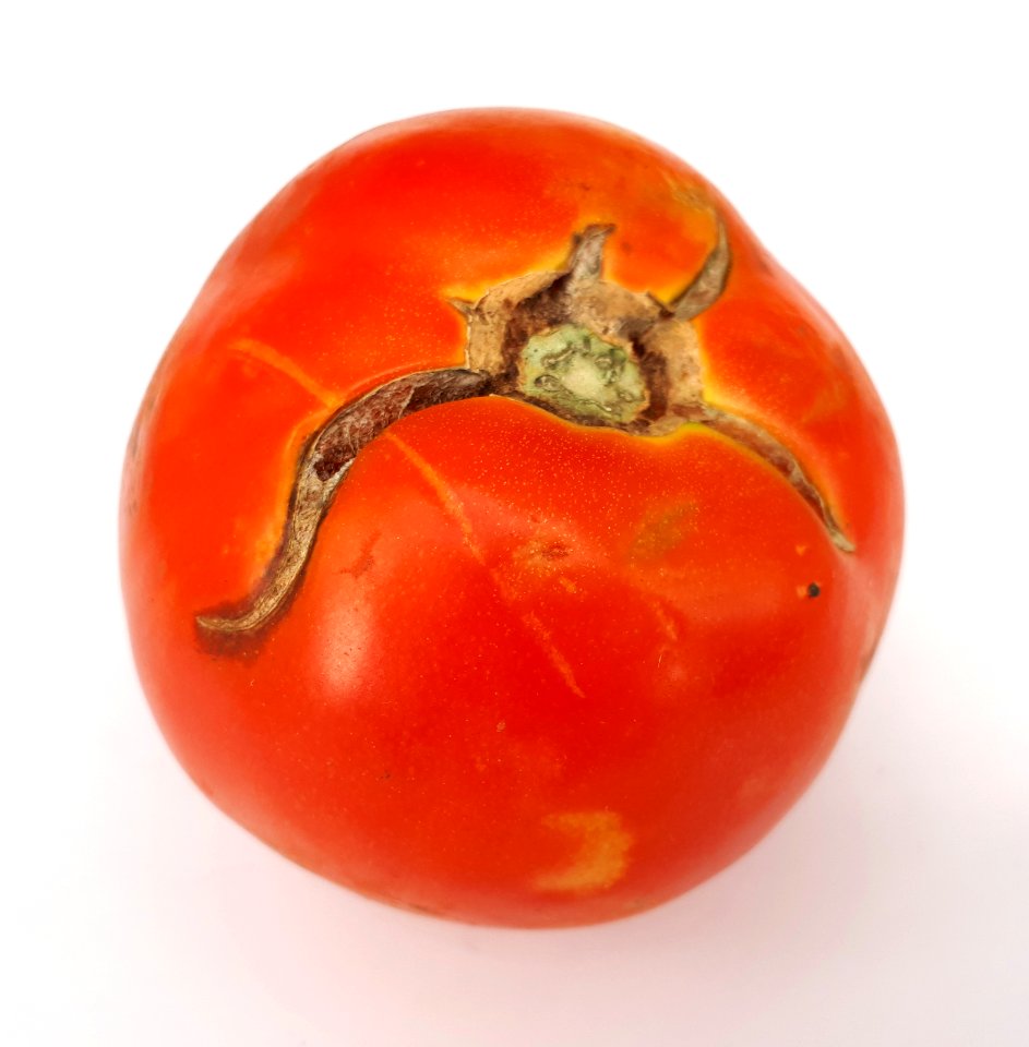 Cracked tomato 2017 E