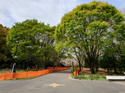 Covid-19 prevention anti-hanami fencing at Yoyogi Park 8 photo