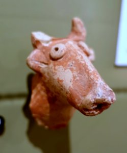 Cow or bull figurine with open mouth for pouring, Samaria, Iron Age II, red-slipped terracotta - Harvard Semitic Museum - Cambridge, MA - DSC06042