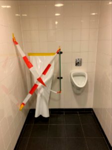 COVID-19 toilet pic1