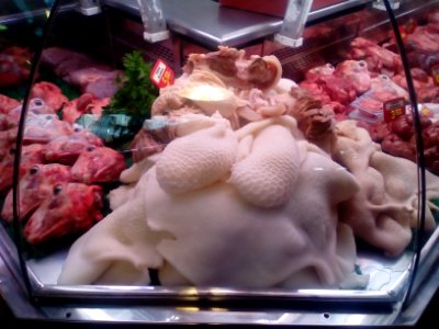 Cow Stomach 2