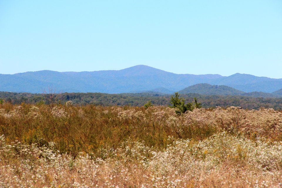 Cowpen Mountain, Georgia Oct 2015
